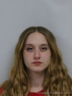 Mugshot of EMILY SHA DILLOW