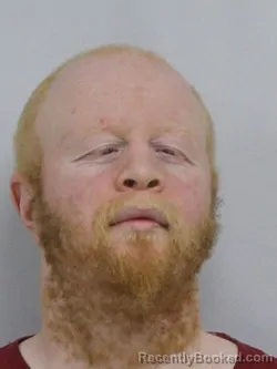 Mugshot of TRAVIS ANTONIO REVELS booked in Davie County, North Carolina on March 23, 2026