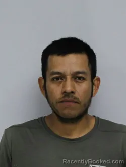 Mugshot of JAIME HERNANDEZ MENA booked in Davie County, North Carolina on April 16, 2026