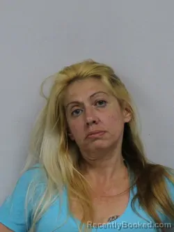 Mugshot of CRYSTAL MARIE OVERSTREET booked in Davie County, North Carolina on April 29, 2026