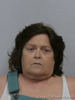 Mugshot of TINA HUTCHINS PARKS booked in Davie County, North Carolina on May 6, 2026
