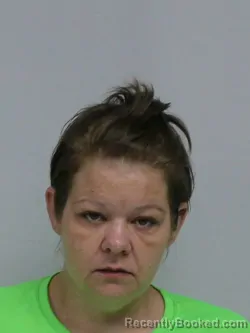 Mugshot of HEATHER LYNN YOUNTS booked in Davie County, North Carolina on May 17, 2026