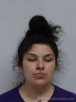 Mugshot of CHEYENNE ALESIA-CARMEL RAMIREZ booked in Davie County, North Carolina on July 5, 2026