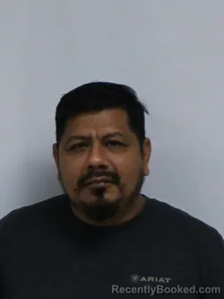 Mugshot of TRINIDAD DE LA PAZ LUVIANO booked in Davie County, North Carolina on July 8, 2026