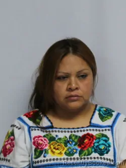 Mugshot of Guillermina Mendez Jacinto booked in Davie County, North Carolina on September 26, 2026