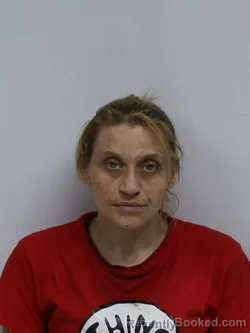 Mugshot of Lyda Yvette Walker booked in Davie County, North Carolina on September 28, 2026