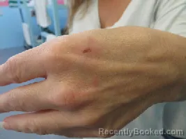 Mugshot of SAMANTHA ANN LITTLE