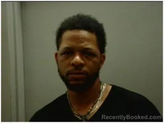 Mugshot of STEVEN MAURICE LANE