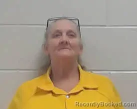 Mugshot of BILLI JO MIZELLE HAMILTON