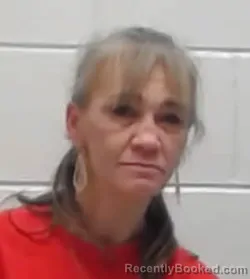 Mugshot of LISA ROBERSON