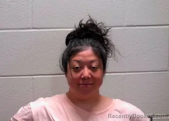 Mugshot of LISA YVONNE PEREZ booked in Bureau County, Illinois on July 7, 2026