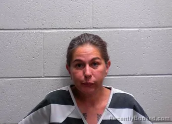 Mugshot of ANGELA SPRING SCHULTZ booked in Bureau County, Illinois on June 8, 2026