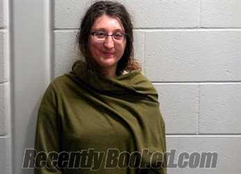 Booking photo from Bureau County, Illinois