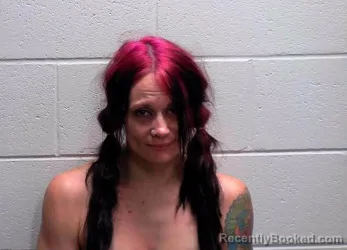 Mugshot of CHRISTINA KAY SHEPARD booked in Bureau County, Illinois on July 3, 2026