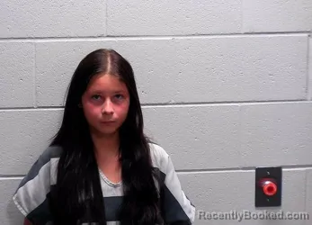 Mugshot of MORGANN DANAE COHRS booked in Bureau County, Illinois on April 1, 2026