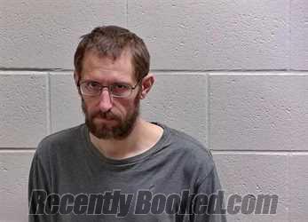 Booking photo from Bureau County, Illinois