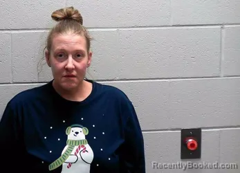 Booking photo from Bureau County, Illinois