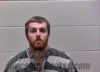 Booking photo from Bureau County, Illinois