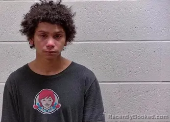 Booking photo from Bureau County, Illinois