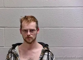 Mugshot of RONNIE ALLEN LEE JR