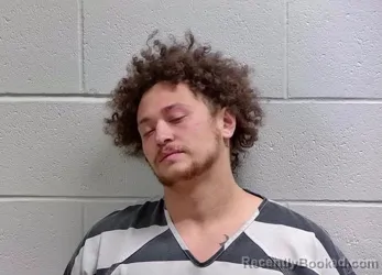 Mugshot of RAMIRO PEREZ-MORALES JR booked in Bureau County, Illinois on March 28, 2026