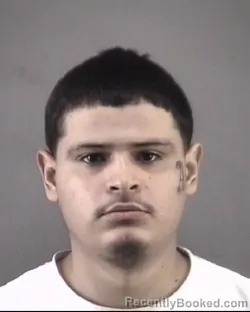 Mugshot of ALFREDO ANGULOHERNANDEZ