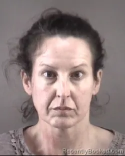 Mugshot of ANNE MARIE FLYNN booked in Forsyth County, North Carolina on July 27, 2026