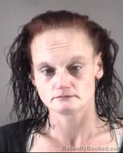 Mugshot of AUDREY LYN RUSSELL