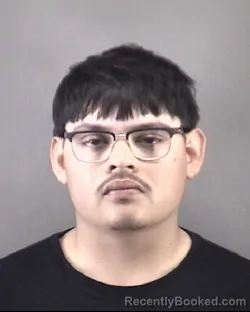 Mugshot of BRYAN CASTILLO