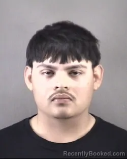 Mugshot of BRYAN CASTILLO