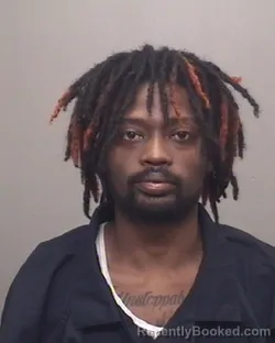 Mugshot of BRIAN TERRELL FERGUSON