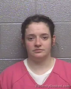 Mugshot of BRIANNA LOGAN GRAY