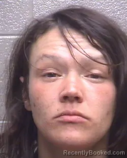 Mugshot of BRONTAE MICHELLE GODAIR