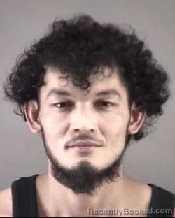 Mugshot of BAYRON PINEDARIVERA