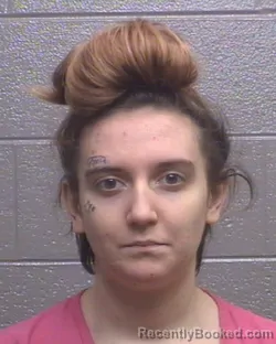 Mugshot of BRIANNA LEA STOUT