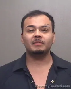 Mugshot of BRYAN VIVAS