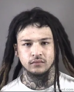 Mugshot of CHANCE HIEN FARRIS