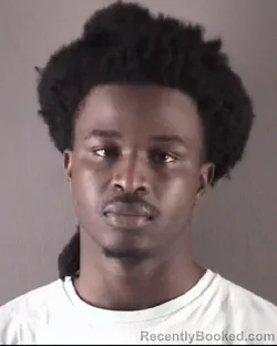 Mugshot of CHRISTIAN LARON HOLLAND