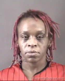 Mugshot of CHASTIDY NICOLE YOUNG