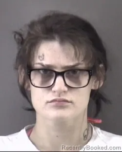 Mugshot of Deanna Dakota Raven Dilldine booked in Forsyth County, North Carolina on July 10, 2026