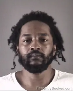 Mugshot of DARIAN DEVAE HOLMAN