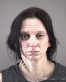 Mugshot of DORENE LEE HAREN booked in Forsyth County, North Carolina on April 11, 2026