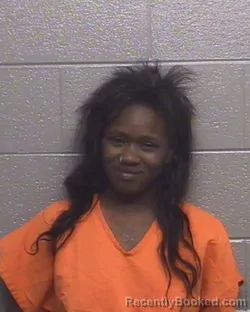 Mugshot of DANAZSHA KRISSHA MCCRAY booked in Forsyth County, North Carolina on July 22, 2026