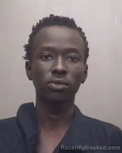 Mugshot of DIDUMO OPITI MET