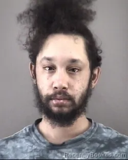 Mugshot of DAVID JAMES TAYLOR