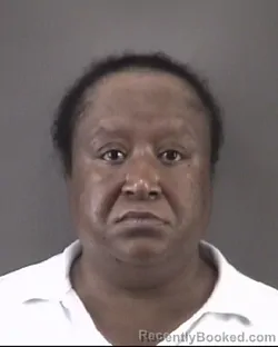 Mugshot of DEHAVELYN DEVAY WILSON booked in Forsyth County, North Carolina on July 29, 2026