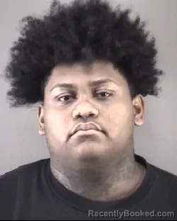 Mugshot of ELBER NOYOLA BRACAMONFES