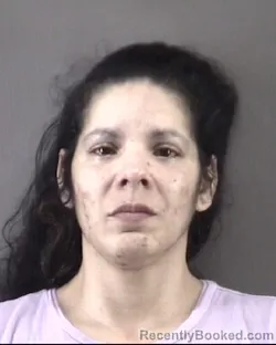 Mugshot of ERICA LIZ GARCIA