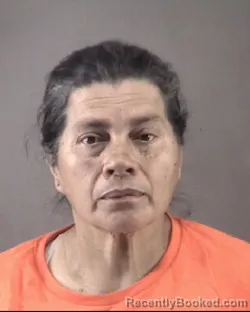 Mugshot of ELSA NOEMY MURGA CASTILLO