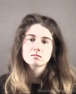 Mugshot of Erin Rae Merrill